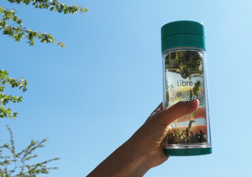 Cold brewed green tea in Libre tea glass